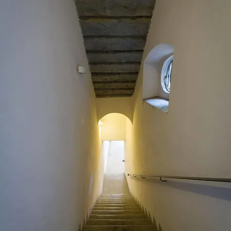 Vip * Bergamo
